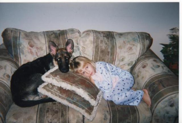 Hace doce años que recibì mi primero perro.