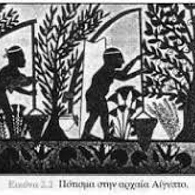 Timeline: Η ιστορική εξέλιξη της γεωργίας