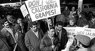 California Grape Boycott