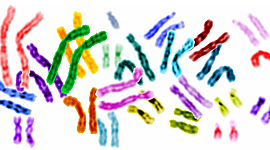 Timeline: 2000s Biology Discoveries & Breakthroughs