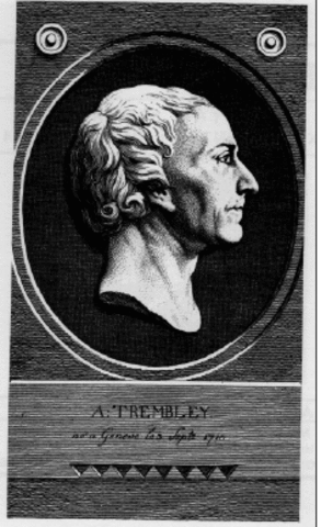 Abraham Trembley