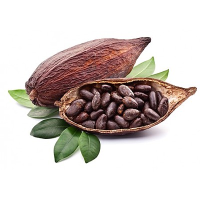 Timeline: Timeline of Cacao