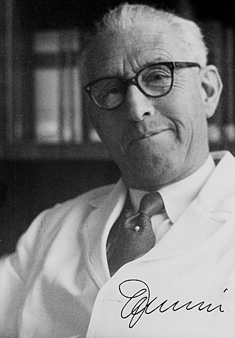 GUIDO FANCONI VON GREBEL