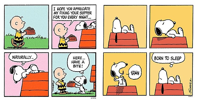 LOS COMICS MÁS RECONOCIDOS