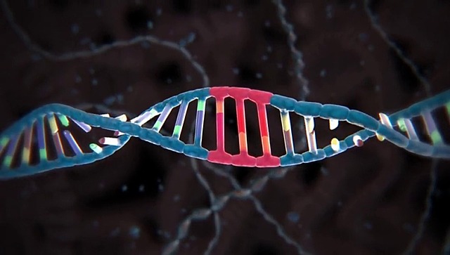 Descubrimiento de la naturaleza del ADN