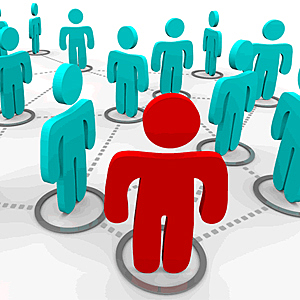 DECRETO 0723 DE 2013