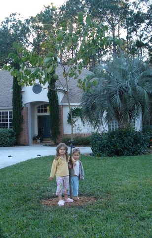 Moved to Jacksonville