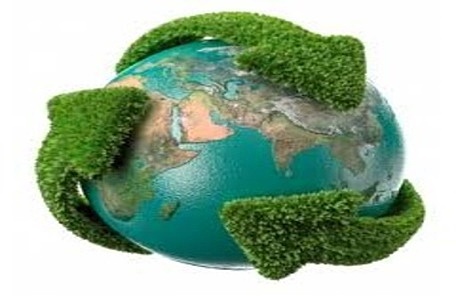 •Impacto en el consumo 1984