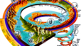 Timeline: LA HISTÒRIA DE LA VIDA