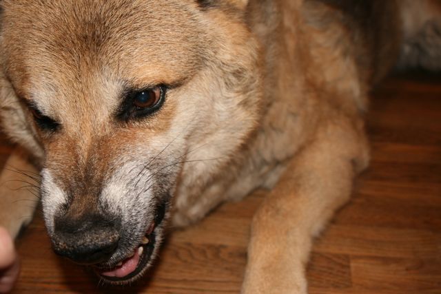 England Sails to India