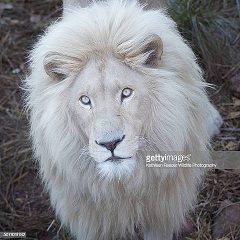 Création de son premier film