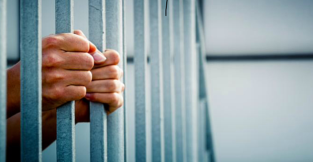 Arrestation de braconniers