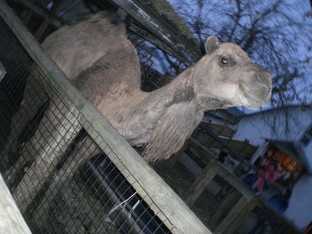 French colonize Canada and Louisiana