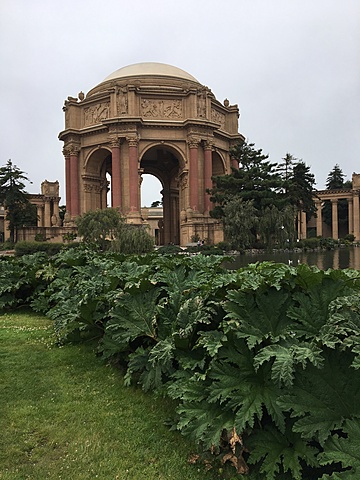 Palace of fine arts