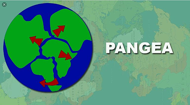 Pangea