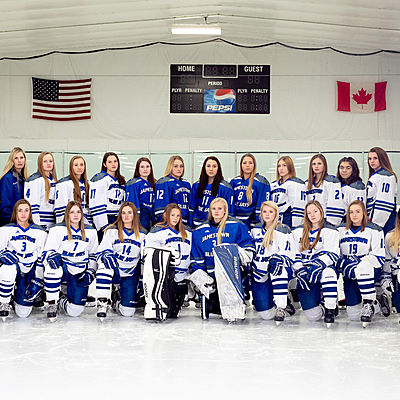 Timeline: 2018-19 hockey season