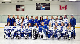 Timeline: 2018-19 hockey season