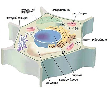 Η ανακάλυψη του DNA