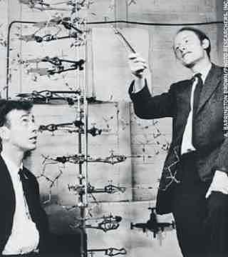 Η ανακάλυψη της διπλής έλικας του DNA