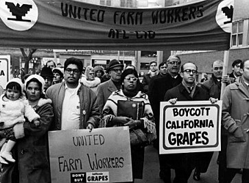 California Grape Boycott