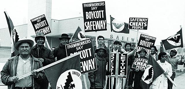 United Farm Workers Movement