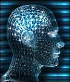 2008 Primera IA de un Bebé