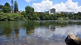Timeline: Waikato River