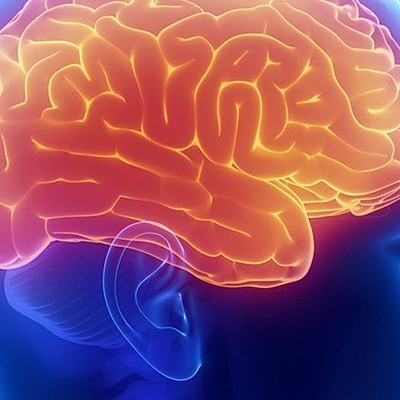 Timeline: La Neuropsicología en el tiempo