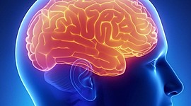 Timeline: La Neuropsicología en el tiempo