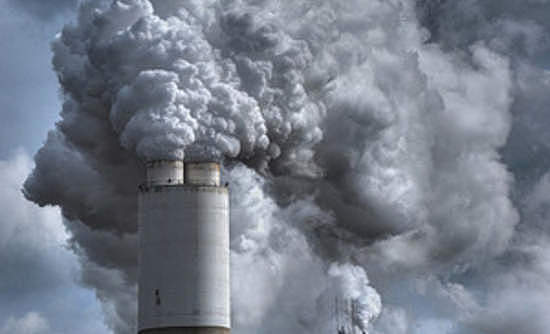 Environmental Damage