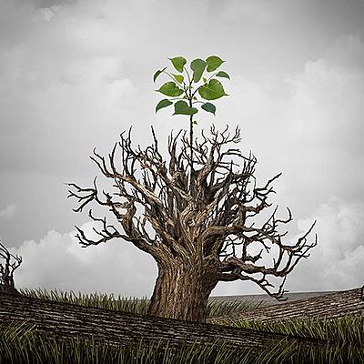 Timeline: Jose Manuel Ruiz Corona