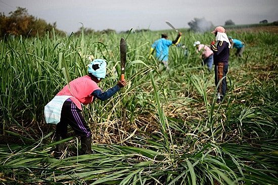Propiedades - Comunidades Afrodescendientes