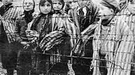 Timeline: Proyecto Shoá