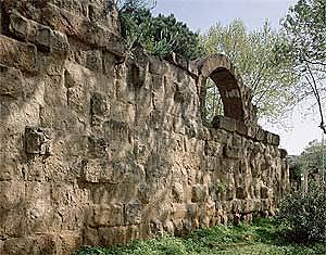 Muralla Serviana