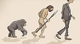 Timeline: HOMINIDOEN EBOLUZIOA ETA HOMINIZAZIOA