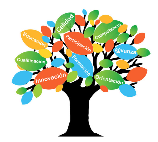 Enfoque curricular contextualizado