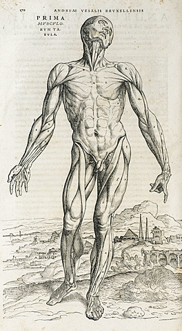 Andreas Vesalius publishes On the Fabric of the Human Body