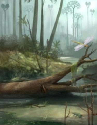 Karbon 299 miljoner år sedan