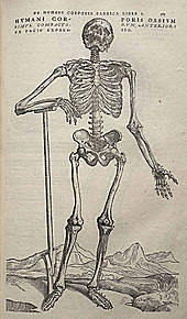 Andreas Vesalius publishes On the Fabric of the Human Body