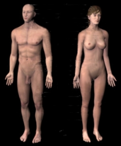 Första människovarelsen kom (homo sapiens)