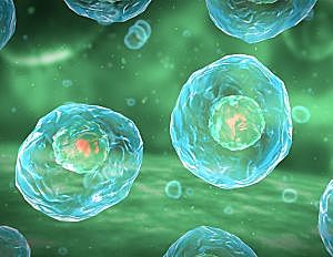 Evolución término "Protoplasma"