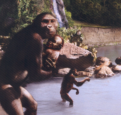 Autralopithecus Garhi