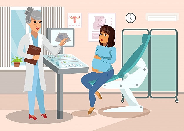 LA LIMITACIÓN DE LA PARTERÍA