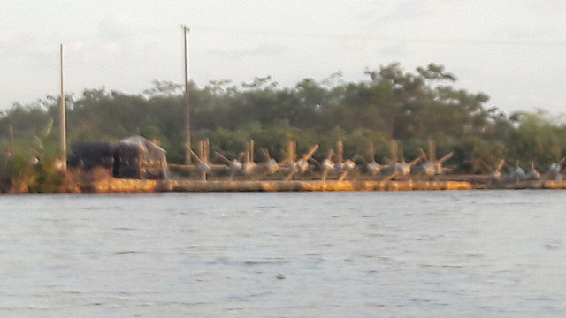 Cambio de lugar de residencia