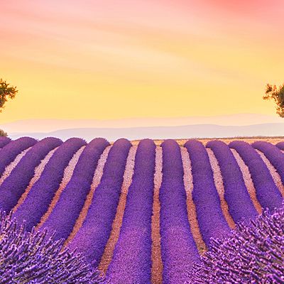 Timeline: Fuori dalla Guerra Fredda ma non dalle guerre