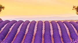 Timeline: Fuori dalla Guerra Fredda ma non dalle guerre