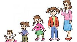 Timeline: Etapas de Desarrollo