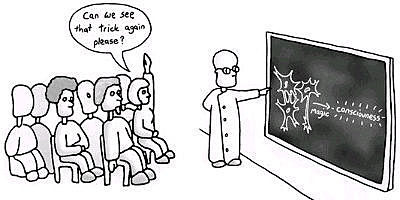 Harvard student to Harvard professor