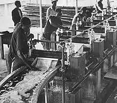 1950-60 introduccion de la goma en el mercado