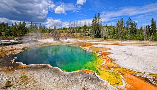 Surgimento dos Parques Nacionais